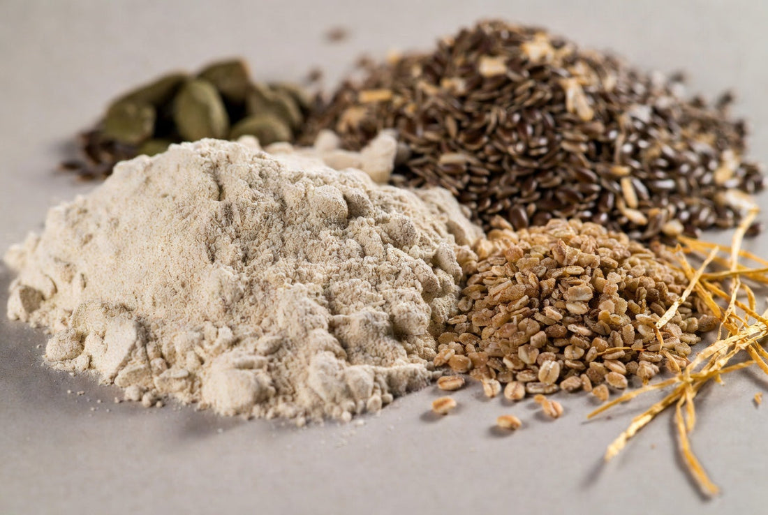La fibre d'acacia comparée à d'autres sources de fibres alimentaires