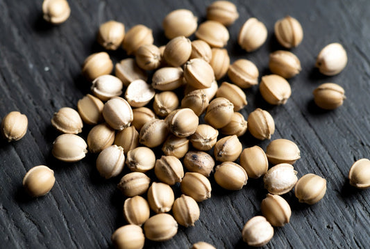 Hanfsamen Omega-3
