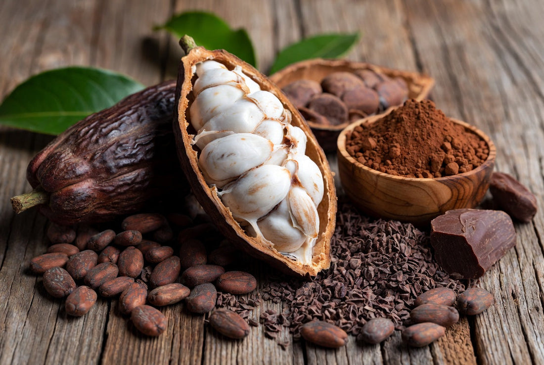 Les nutriments du cacao