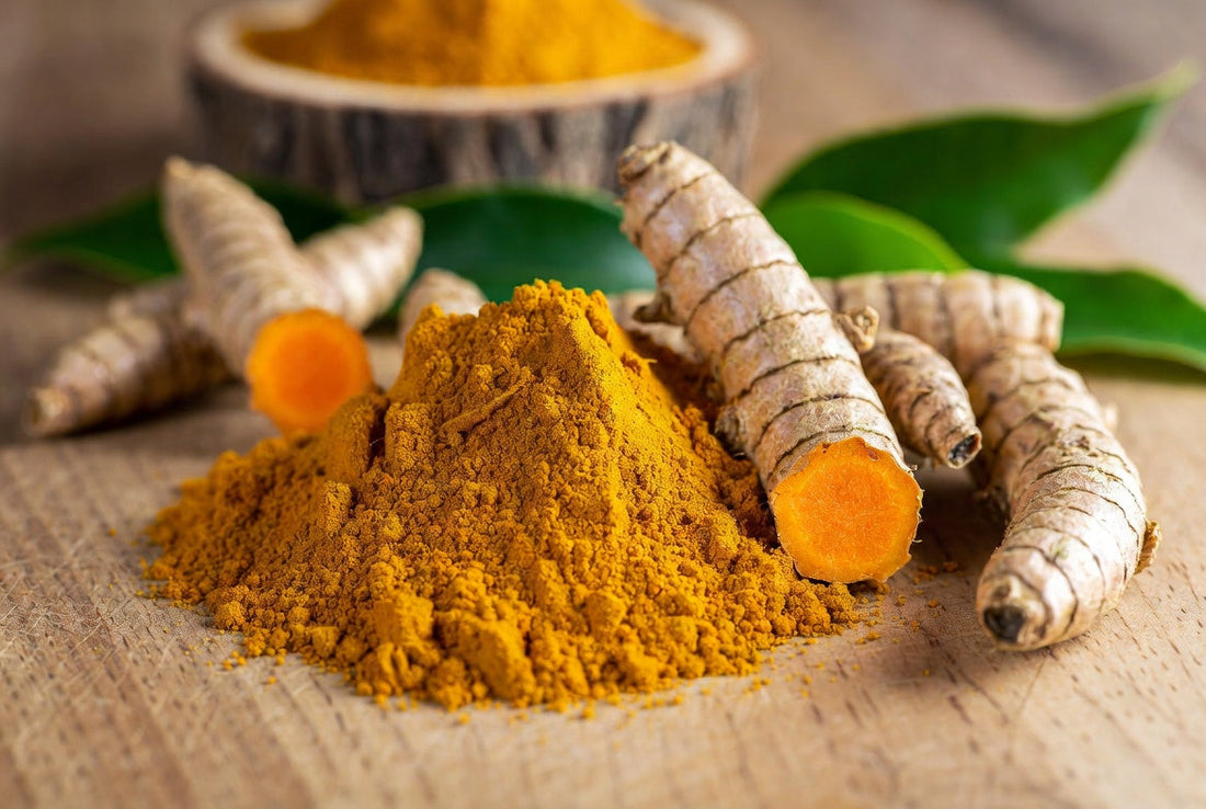 Poudre de curcuma