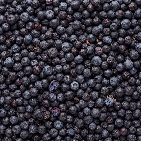 Wildheidelbeeren – gefriergetrocknete Vollfrucht