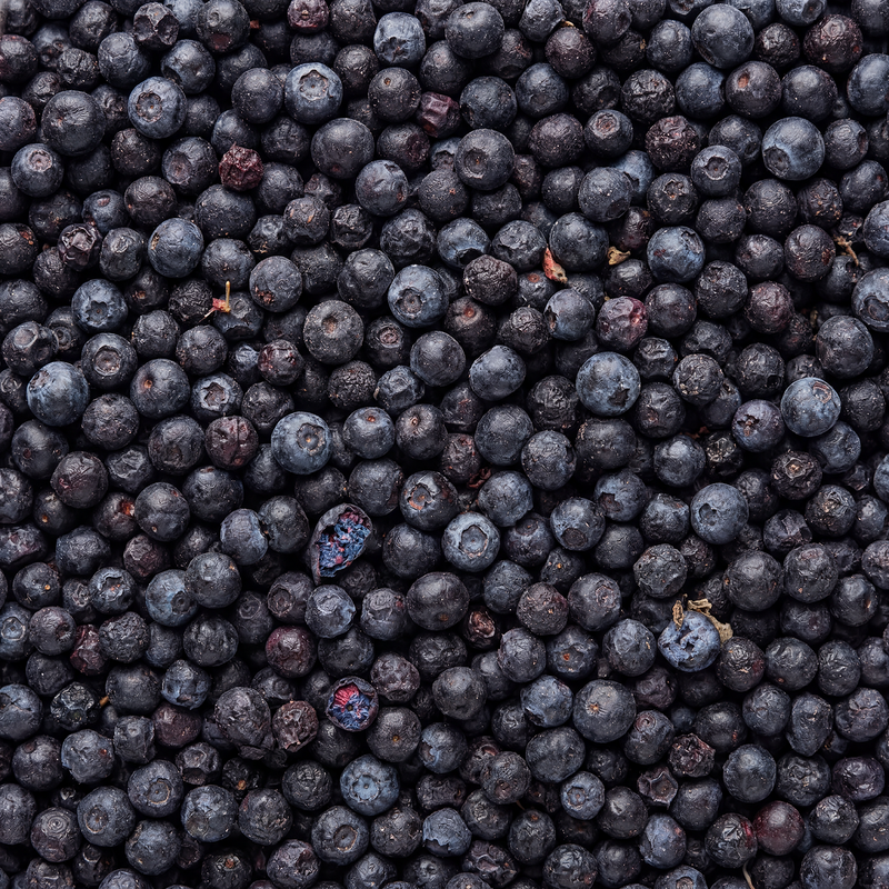 Wildheidelbeeren – gefriergetrocknete Vollfrucht