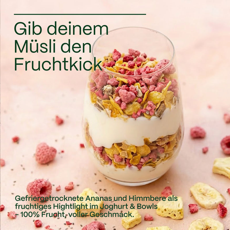 Ananas – gefriergetrocknete Ananasstücke